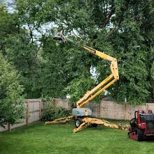 Best Pest Control for Lawns  in Ramblewood, NJ