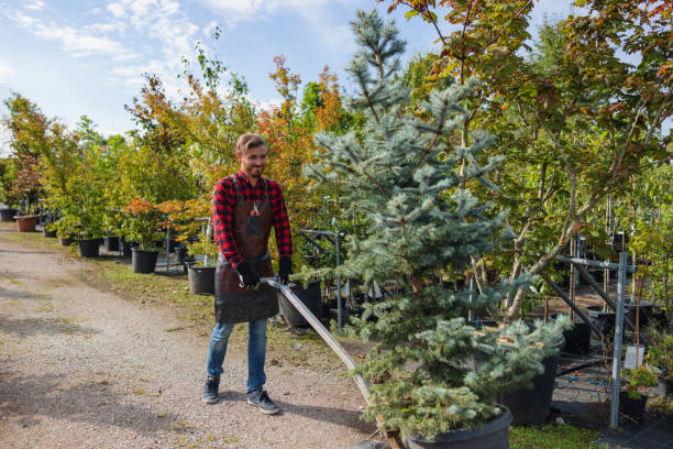 Best Soil Testing and Treatment  in Ramblewood, NJ